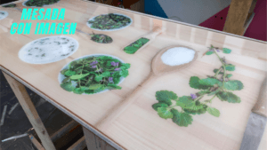 MESA CON IMAGEN DISEÑO CON RESINA EPOXI HEHA PARA INSTALAR